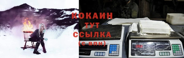 гашик Абинск