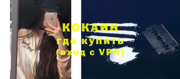 МДПВ Нея