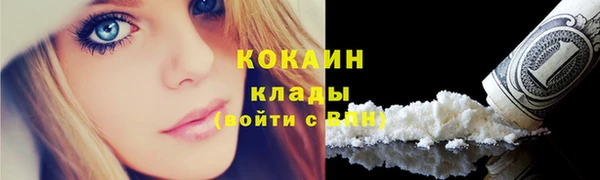 МДПВ Нея