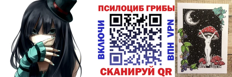 мега зеркало  Сафоново  Галлюциногенные грибы Psilocybine cubensis 